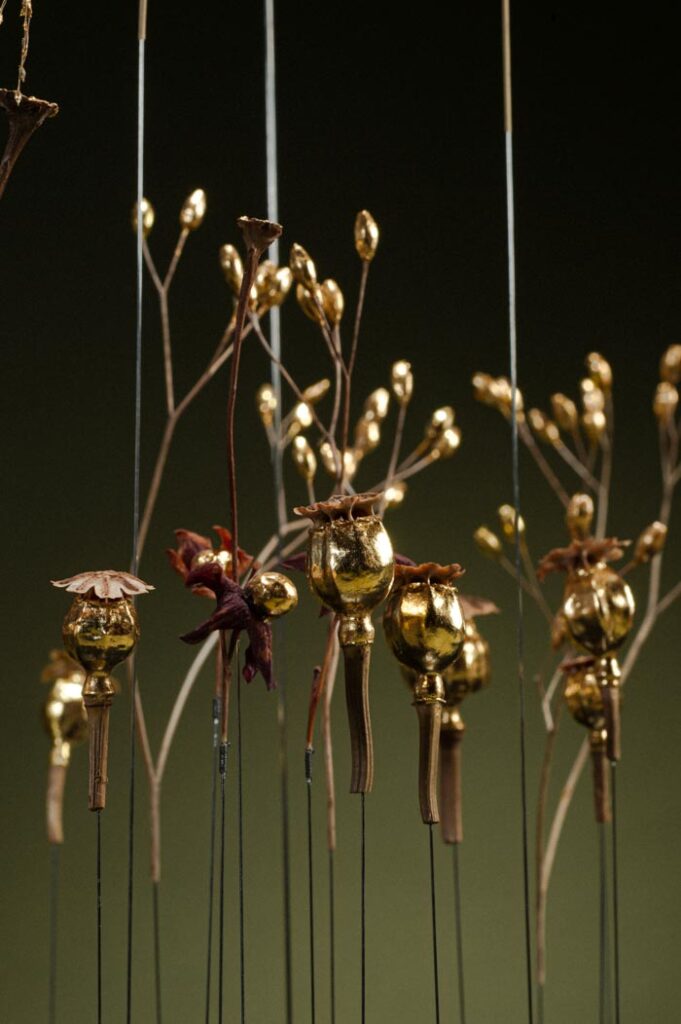 une-lumiere-dans-la-canopee-d3-sophie-blanc-doreuse