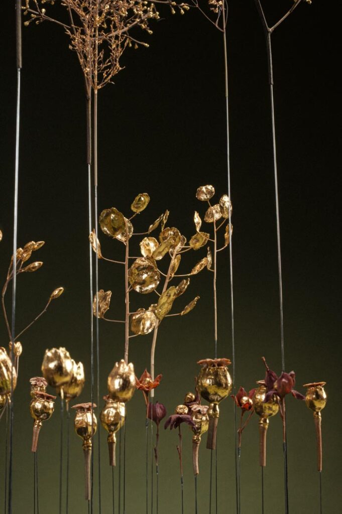 une-lumiere-dans-la-canopee-d4-sophie-blanc-doreuse