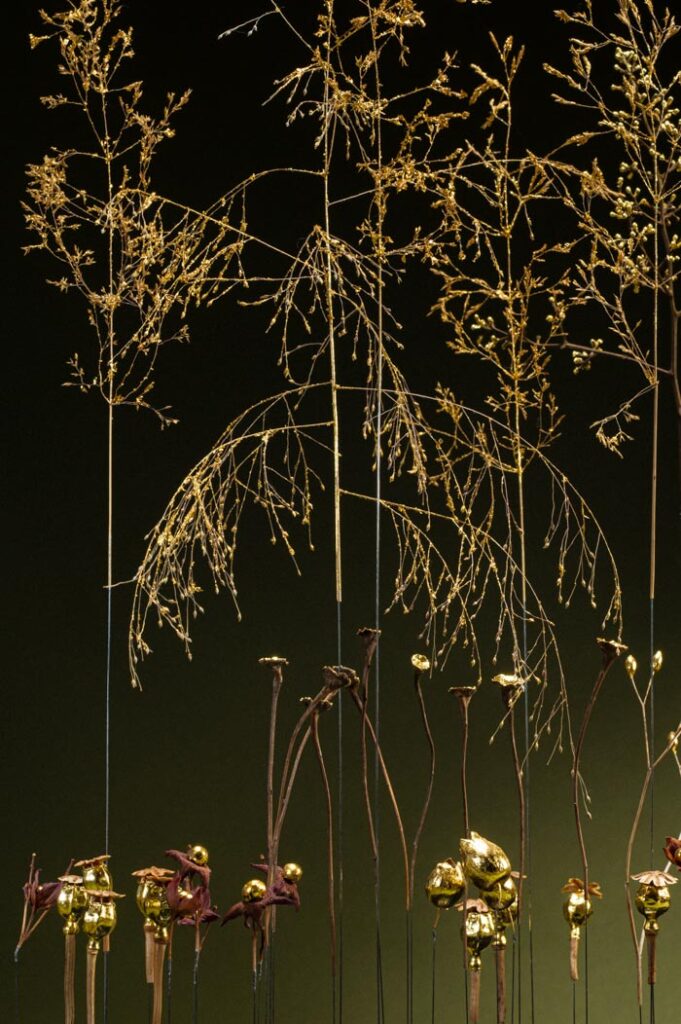 une-lumiere-dans-la-canopee-d7-sophie-blanc-doreuse