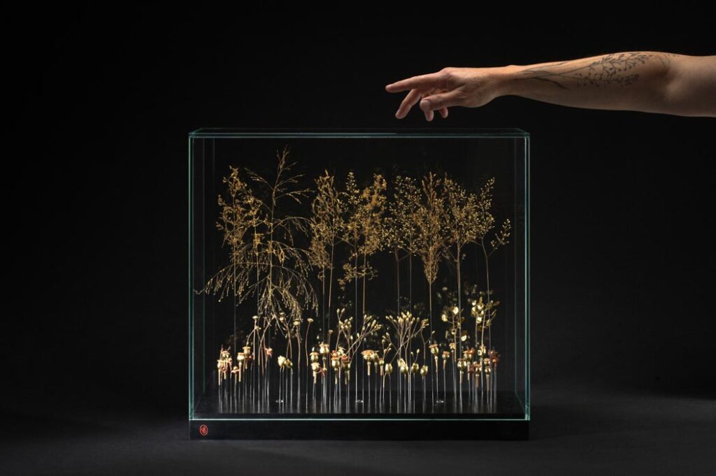 une-lumiere-dans-la-canopee-format-sophie-blanc-doreuse