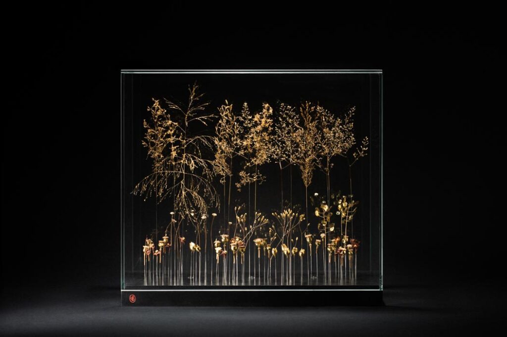 une-lumiere-dans-la-canopee-sophie-blanc-doreuse