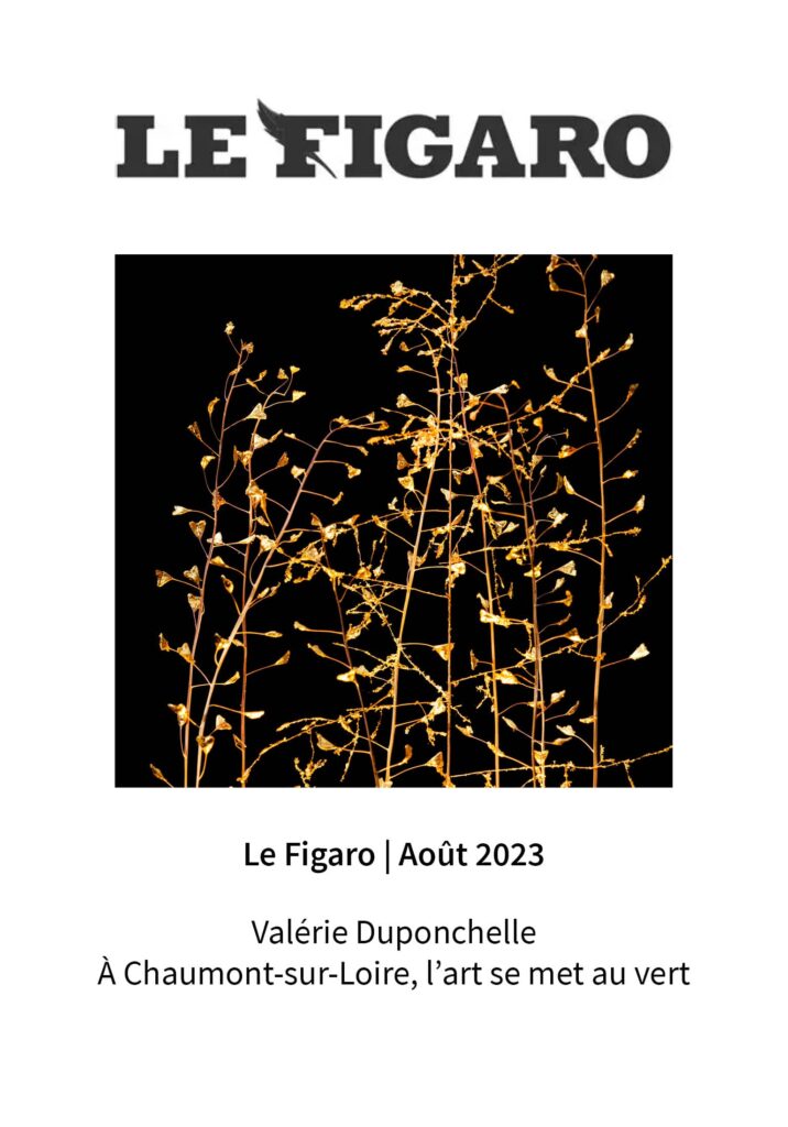 le-figaro-sophie-blanc-2025