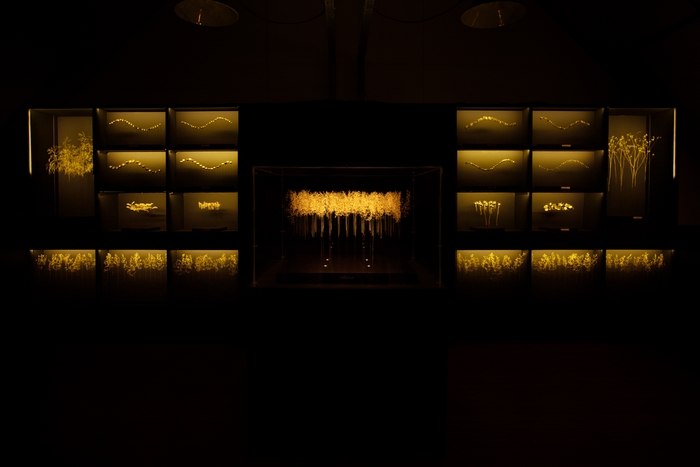 memoires-d-enfance-domaine-de-chaumont