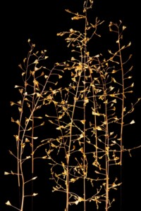 # amour de capucin : brins de bourse à pasteur et herbe folle dorés à la feuille d'or. Éclairage intégré Sculpture de brins de bourse à pasteur et herbe folle dorés à la feuille d'or. Éclairage intégré
