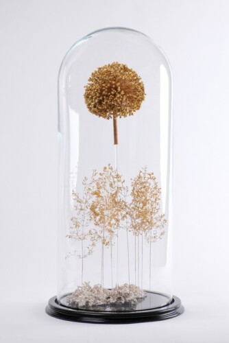 # culture sauvage : fleur de poireau et brins d'herbes folles dorés à la feuille d'or, lichens blancs. Éclairage intégré. Sculpture avec une fleur de poireau et brins d'herbes folles dorés à la feuille d'or